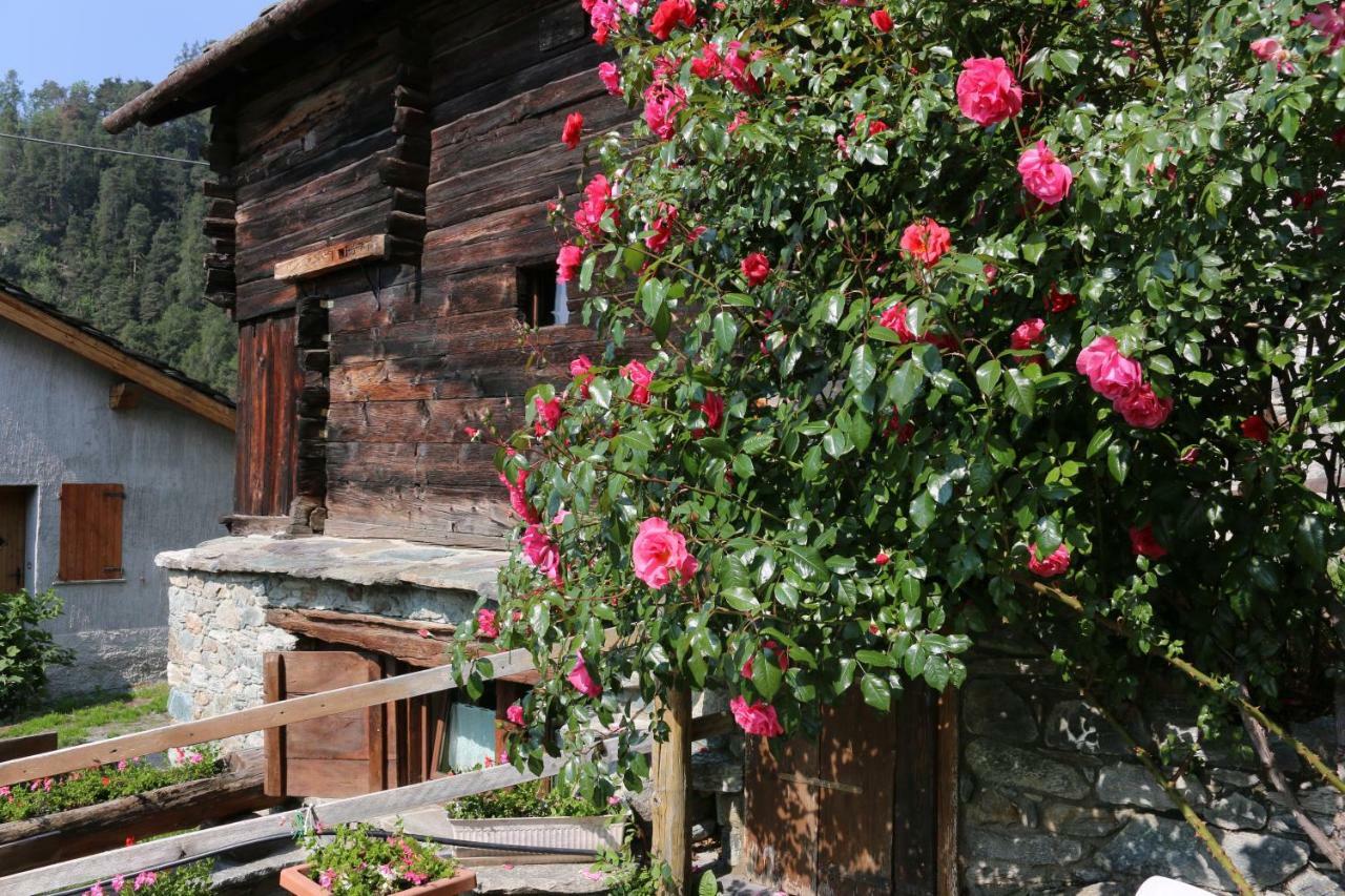 Casa de hóspedes Lo Verdze Di Torgnon